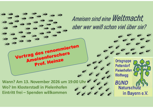 Ameisen - eine Weltmacht