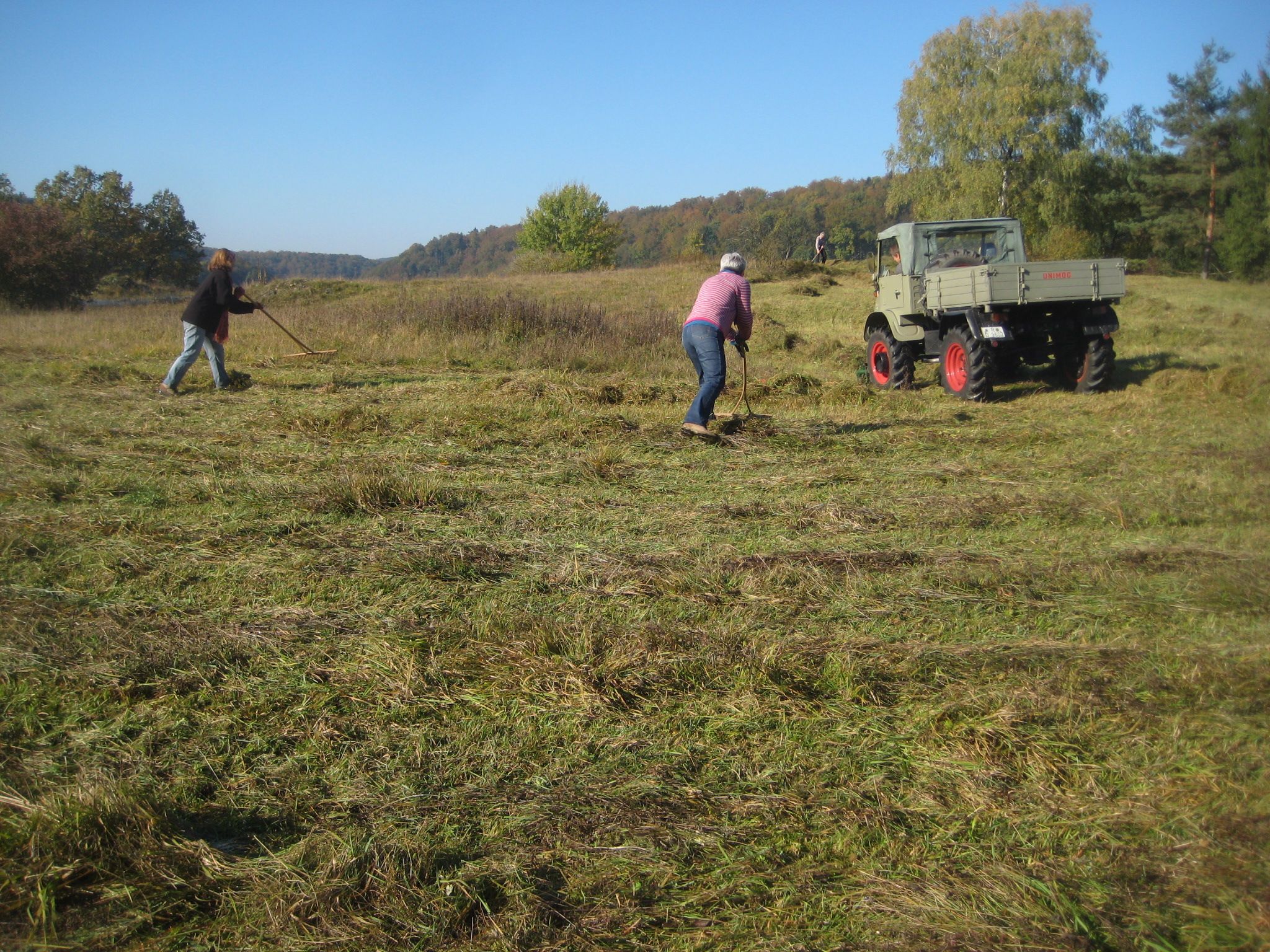 IMG 2810 Schafbuckel Pflege 22 Okt 2011